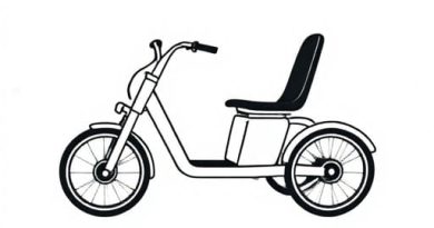 Ollie Leo Electric Trike