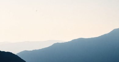 Once Human Obliterate Violent