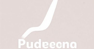 Origen de la Pudenda Interna