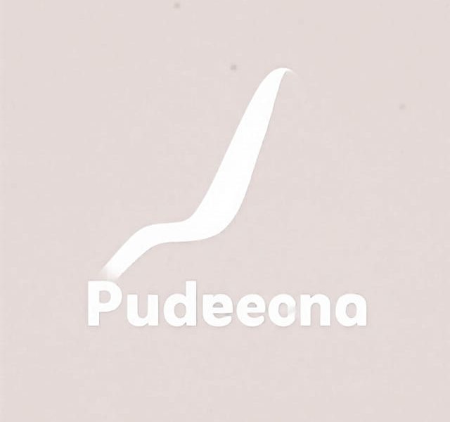 Origen de la Pudenda Interna