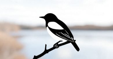 Pa Migratory Bird Season