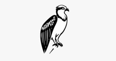 what is the meaning of osprey