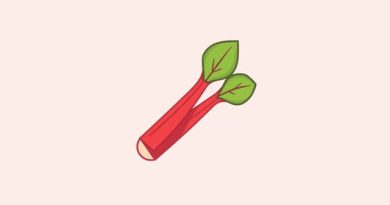 Which Part of Rheum Is Edible